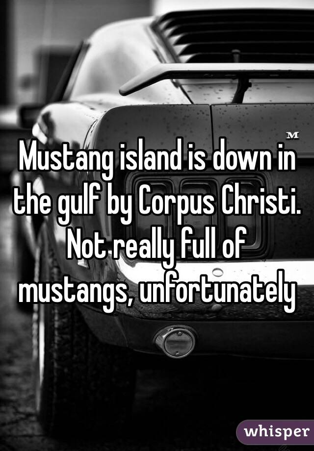 Mustang island is down in the gulf by Corpus Christi. Not really full of mustangs, unfortunately