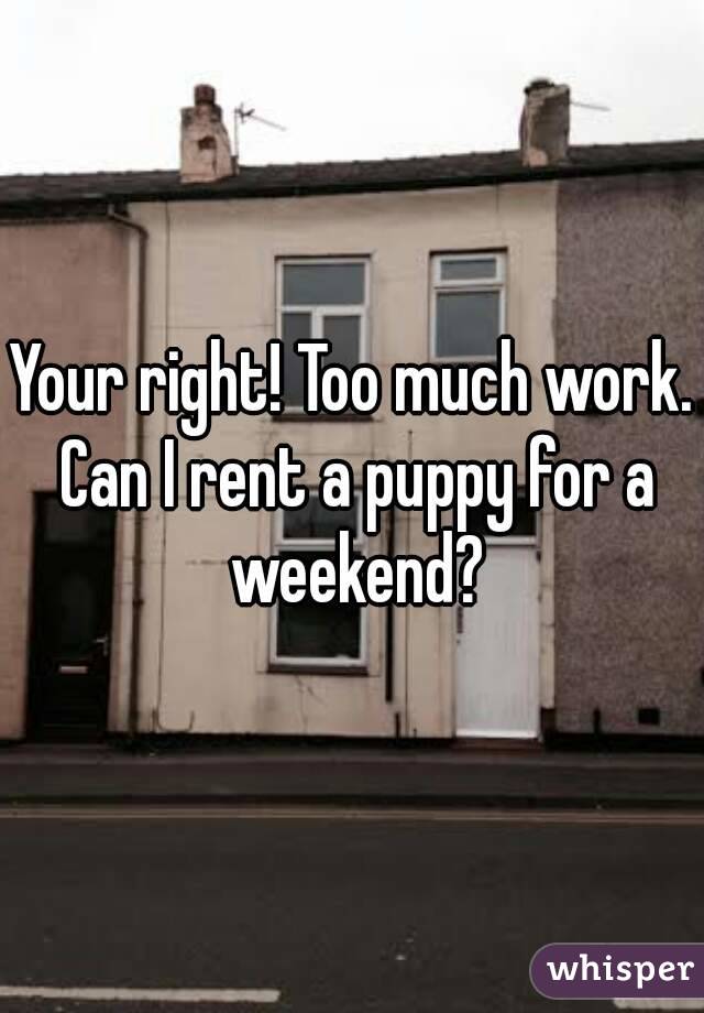 Your right! Too much work. Can I rent a puppy for a weekend?