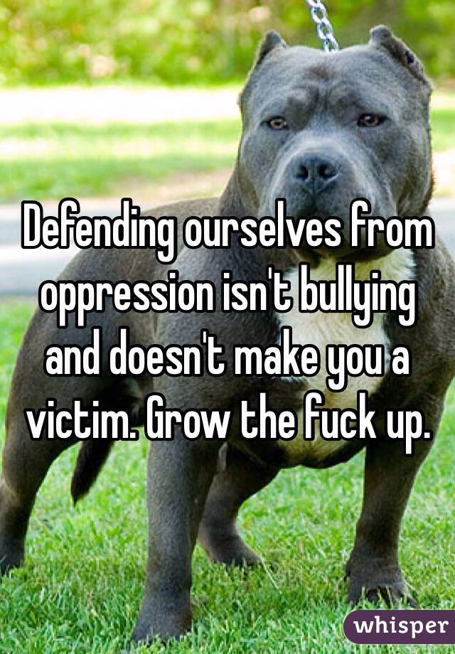 Defending ourselves from oppression isn't bullying and doesn't make you a victim. Grow the fuck up. 