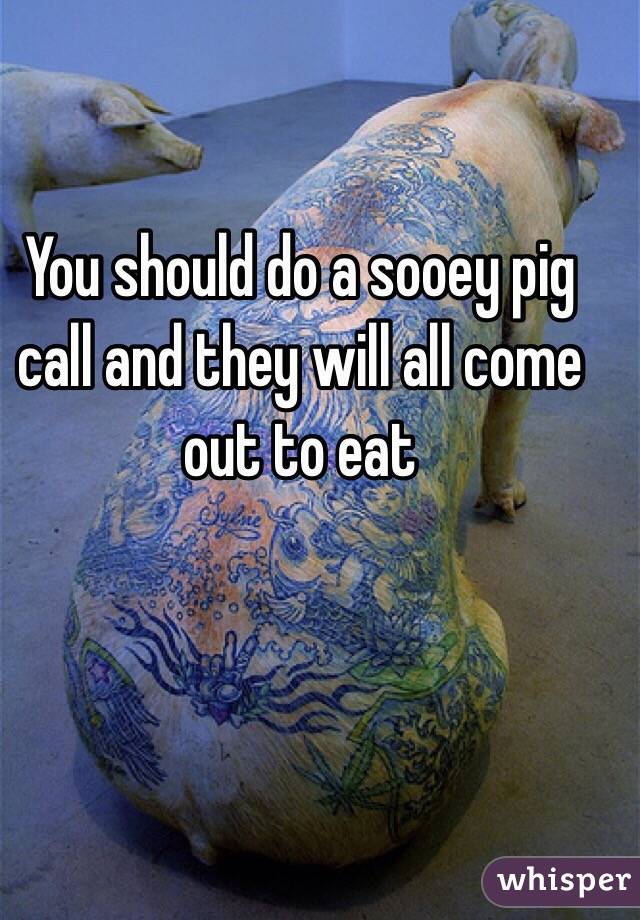 You should do a sooey pig call and they will all come out to eat