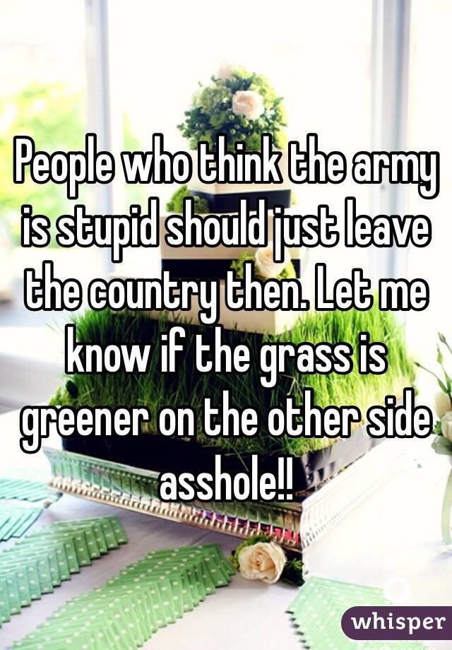 People who think the army is stupid should just leave the country then. Let me know if the grass is greener on the other side asshole!! 