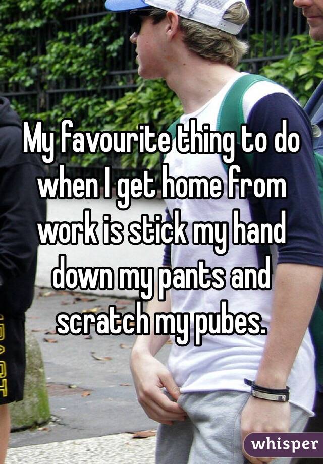 My favourite thing to do when I get home from work is stick my hand down my pants and scratch my pubes.