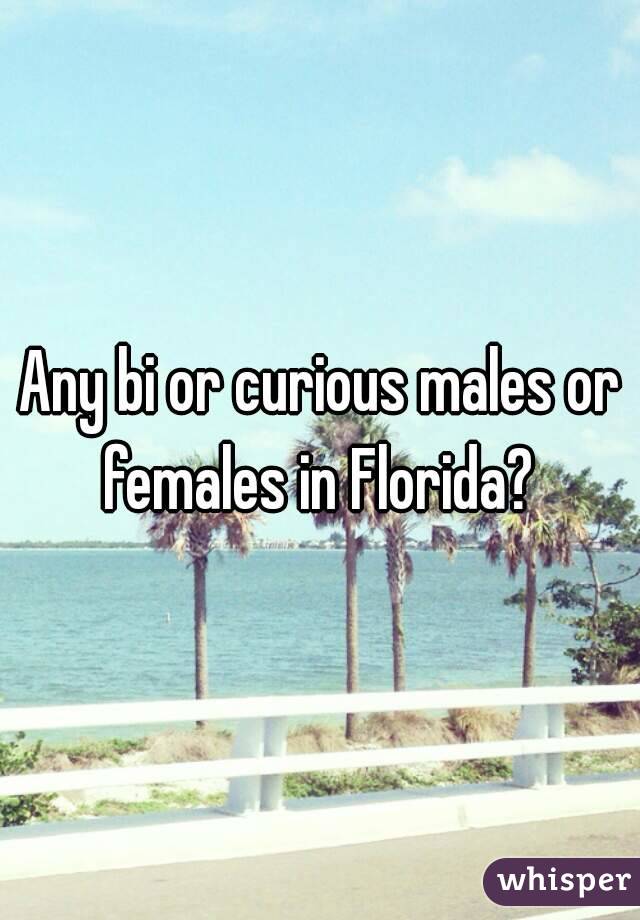 Any bi or curious males or females in Florida? 