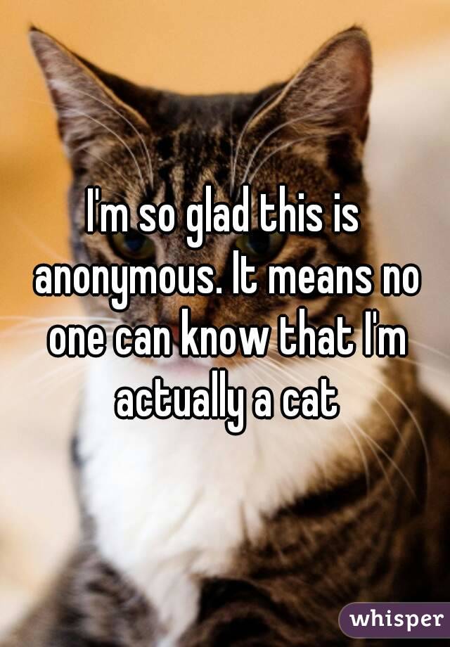 I'm so glad this is anonymous. It means no one can know that I'm actually a cat