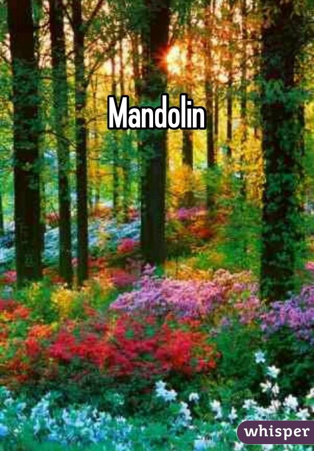 Mandolin