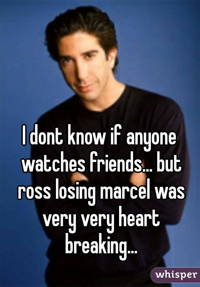 I dont know if anyone watches friends... but ross losing marcel was very very heart breaking...