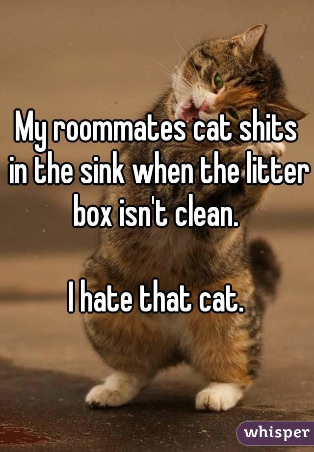 My roommates cat shits in the sink when the litter box isn't clean. 

I hate that cat.