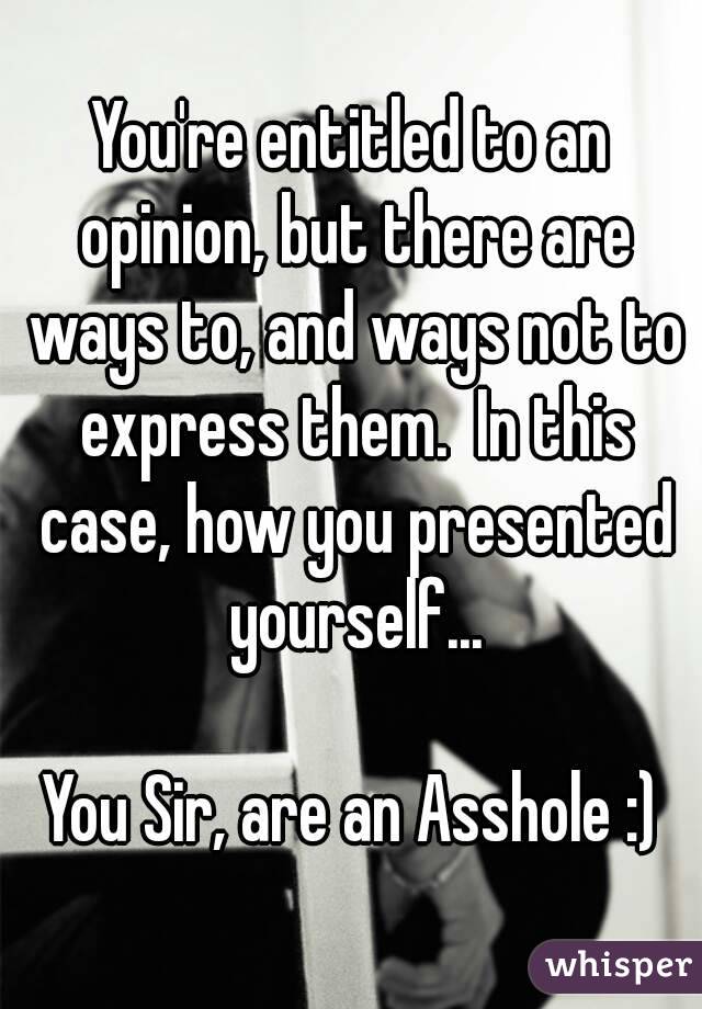 You're entitled to an opinion, but there are ways to, and ways not to express them.  In this case, how you presented yourself...

You Sir, are an Asshole :)