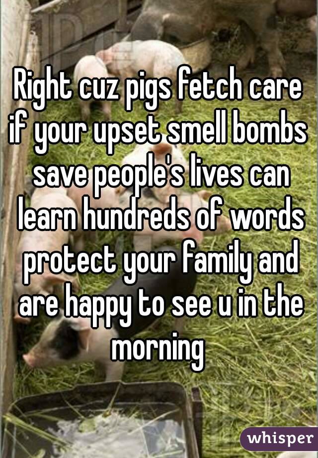 Right cuz pigs fetch care if your upset smell bombs  save people's lives can learn hundreds of words protect your family and are happy to see u in the morning 