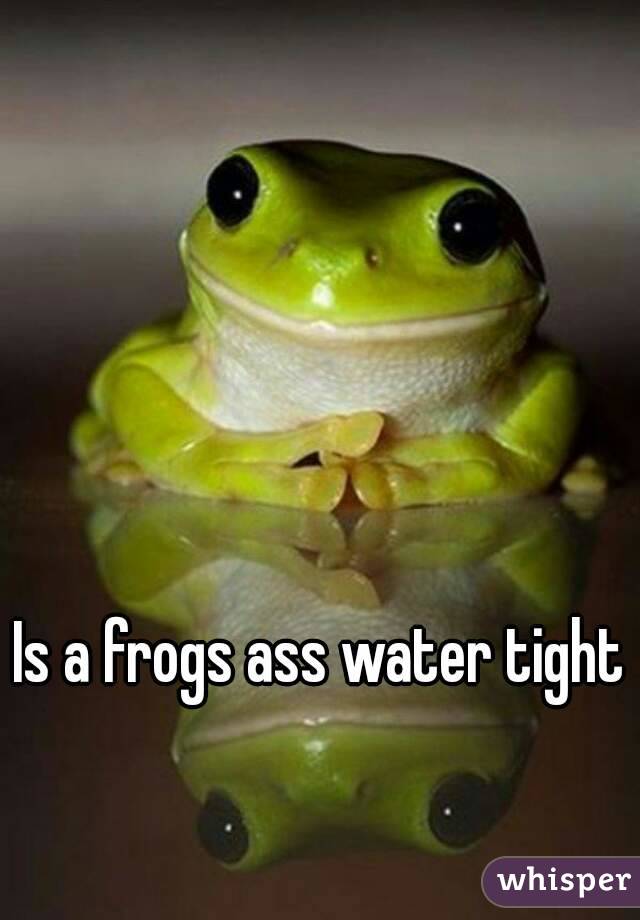 Is a frogs ass water tight