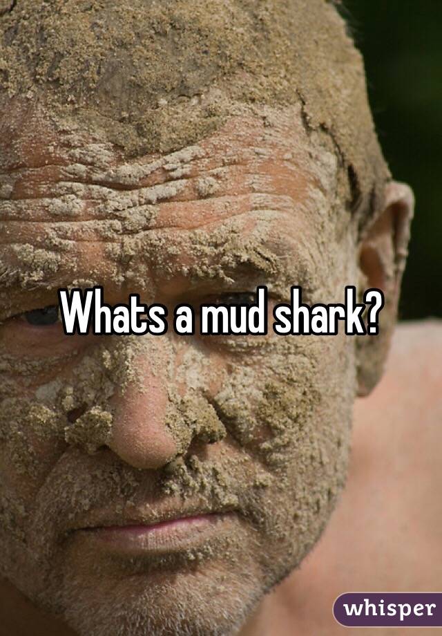 Whats a mud shark? 