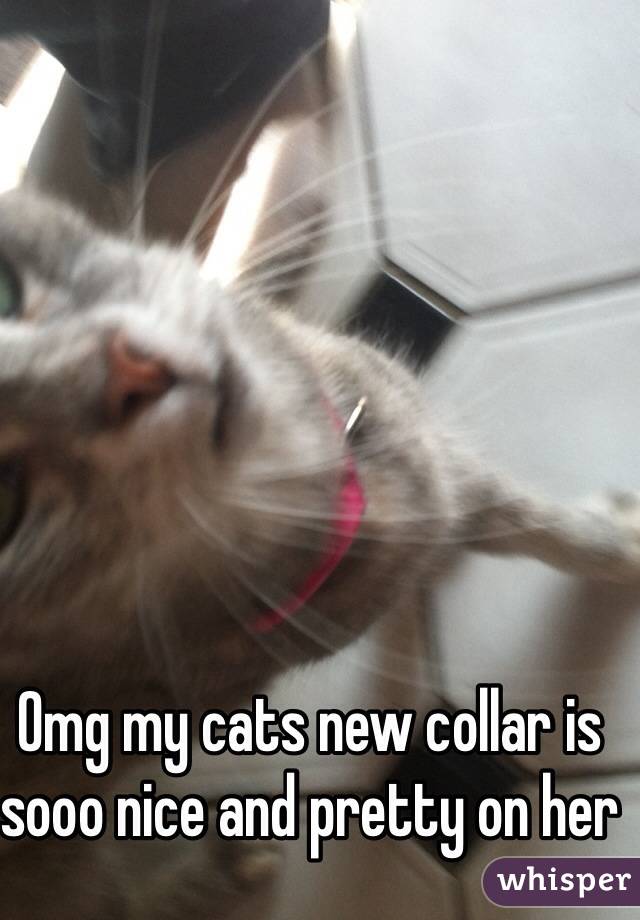 Omg my cats new collar is sooo nice and pretty on her