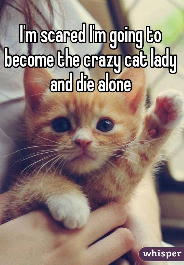 I'm scared I'm going to become the crazy cat lady and die alone 