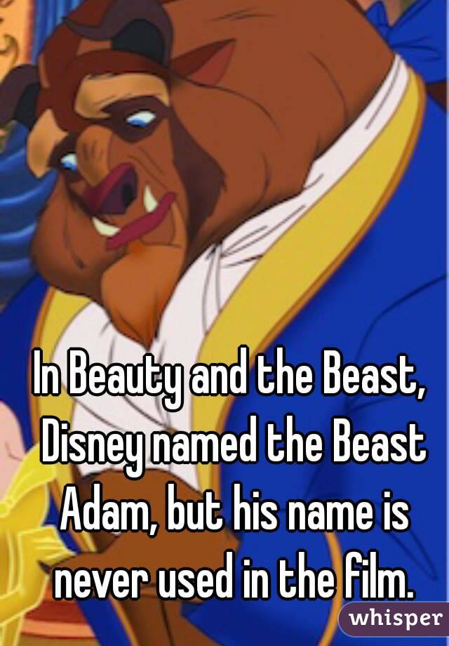 In Beauty and the Beast, Disney named the Beast Adam, but his name is never used in the film.