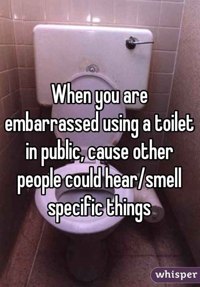 When you are embarrassed using a toilet in public, cause other people could hear/smell specific things