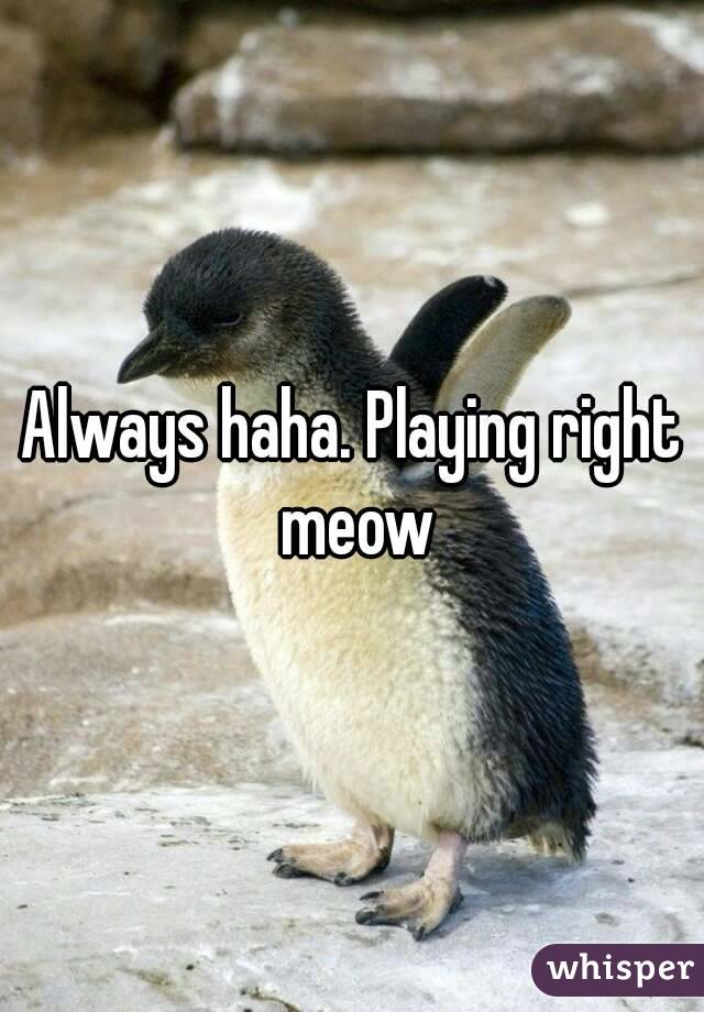 Always haha. Playing right meow