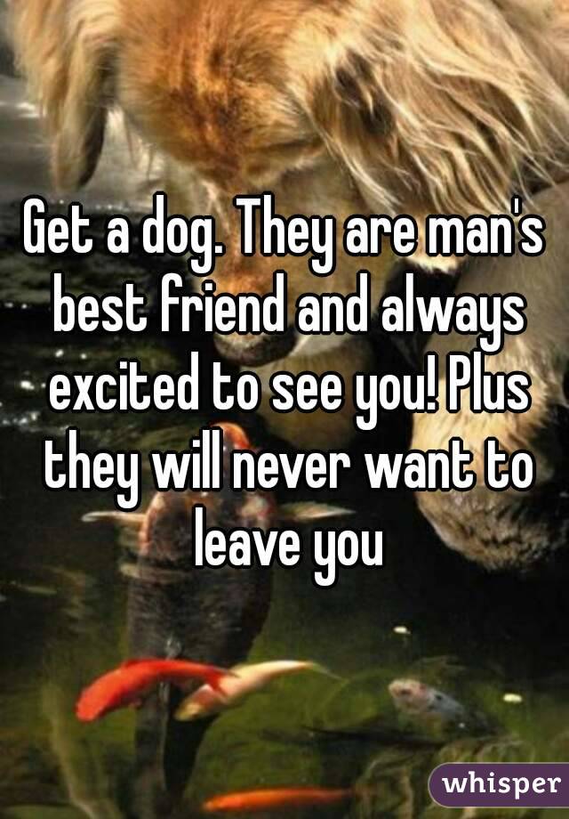Get a dog. They are man's best friend and always excited to see you! Plus they will never want to leave you
