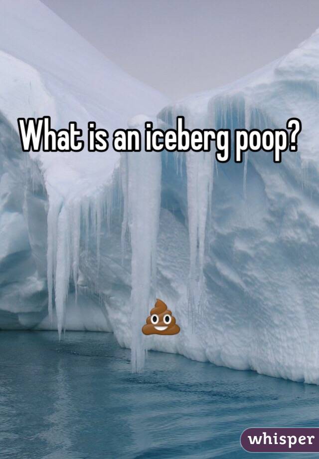 What is an iceberg poop?



💩