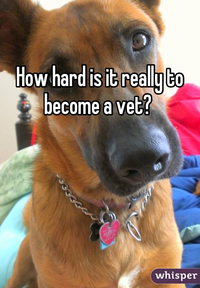 How hard is it really to become a vet? 
