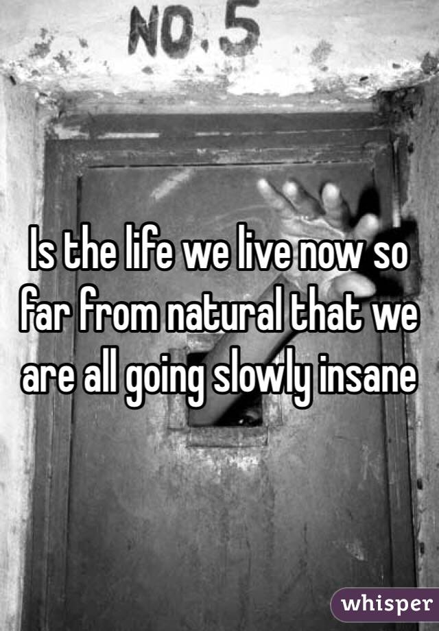 Is the life we live now so far from natural that we are all going slowly insane