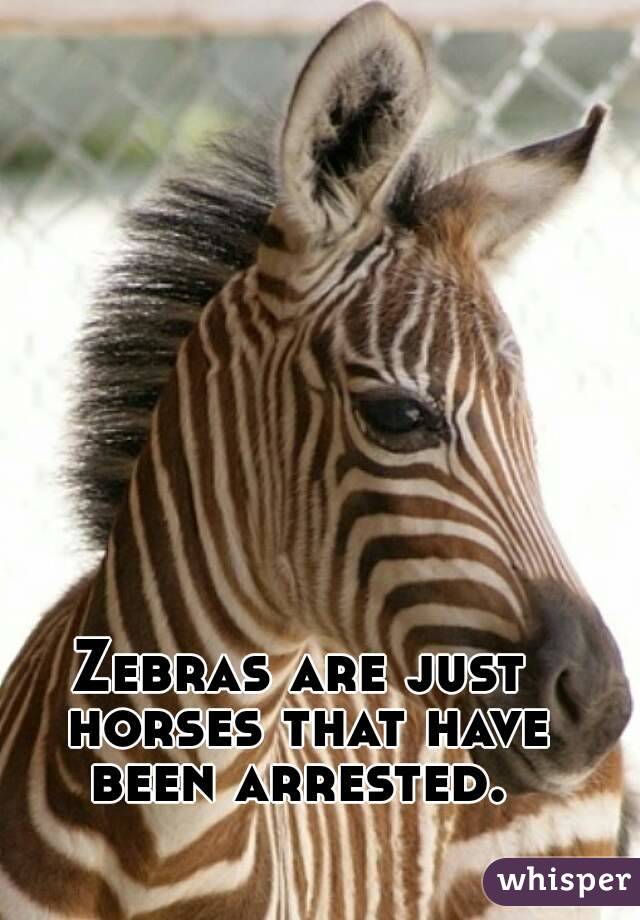 Zebras are just horses that have been arrested. 