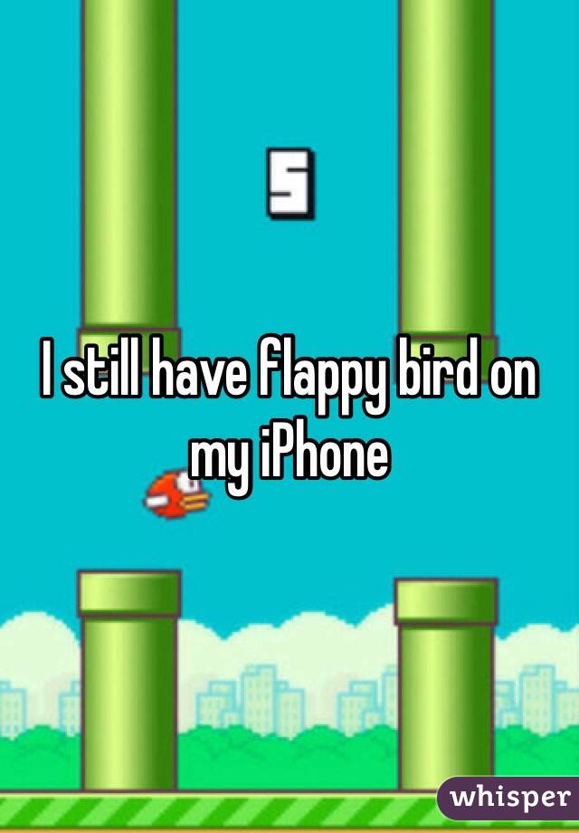I still have flappy bird on my iPhone 