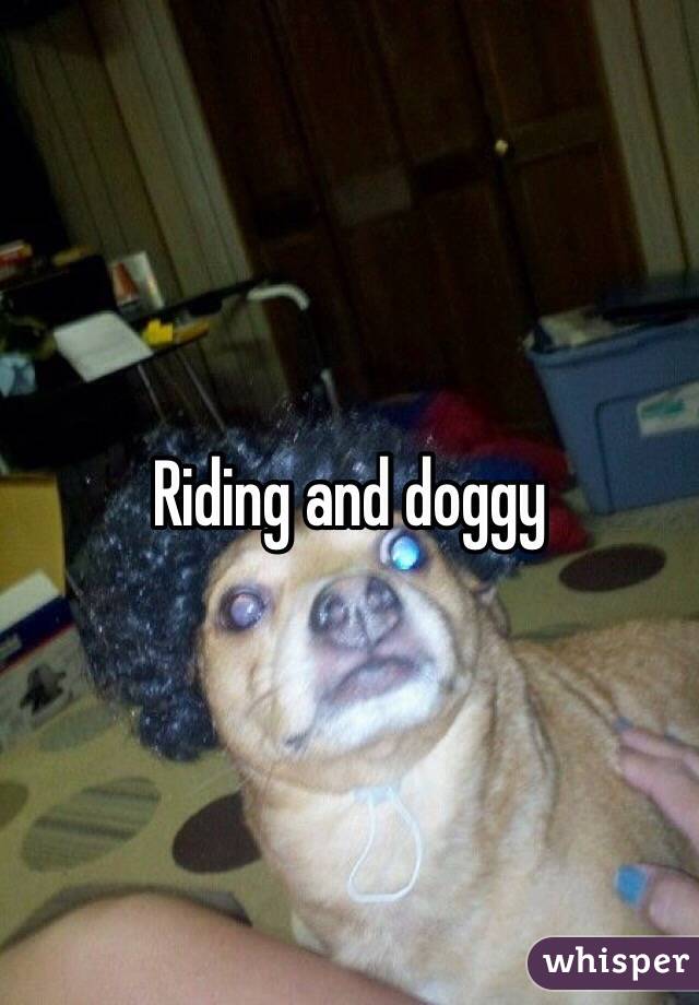 Riding and doggy