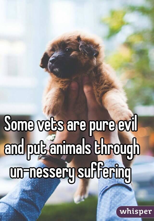 Some vets are pure evil and put animals through un-nessery suffering 