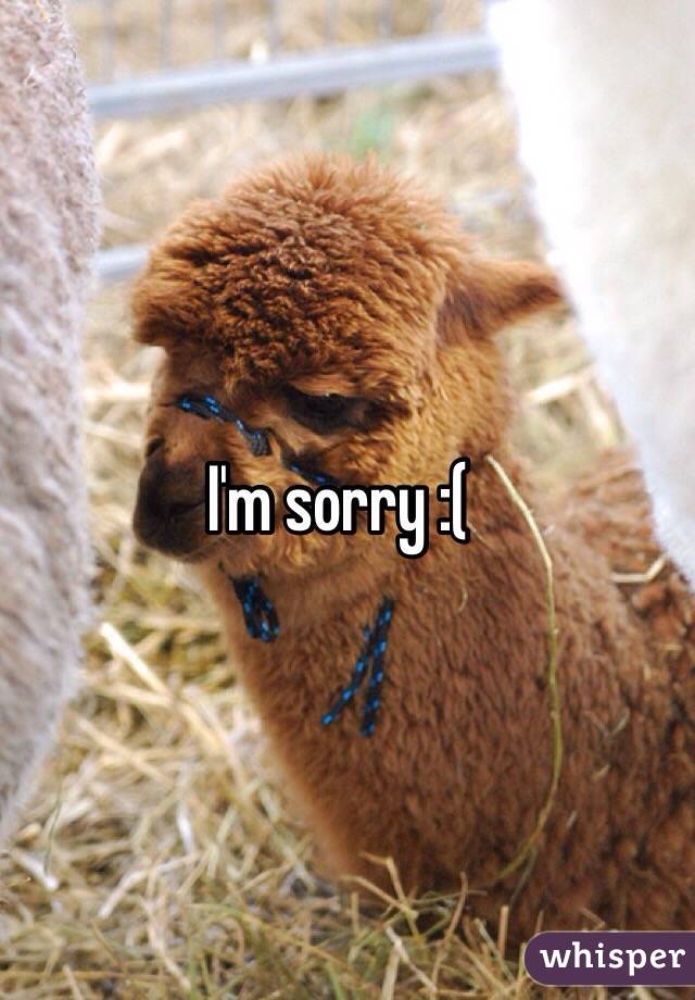 I'm sorry :( 