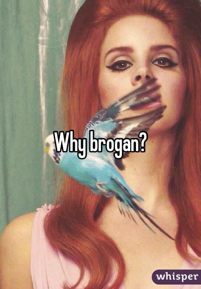 Why brogan?