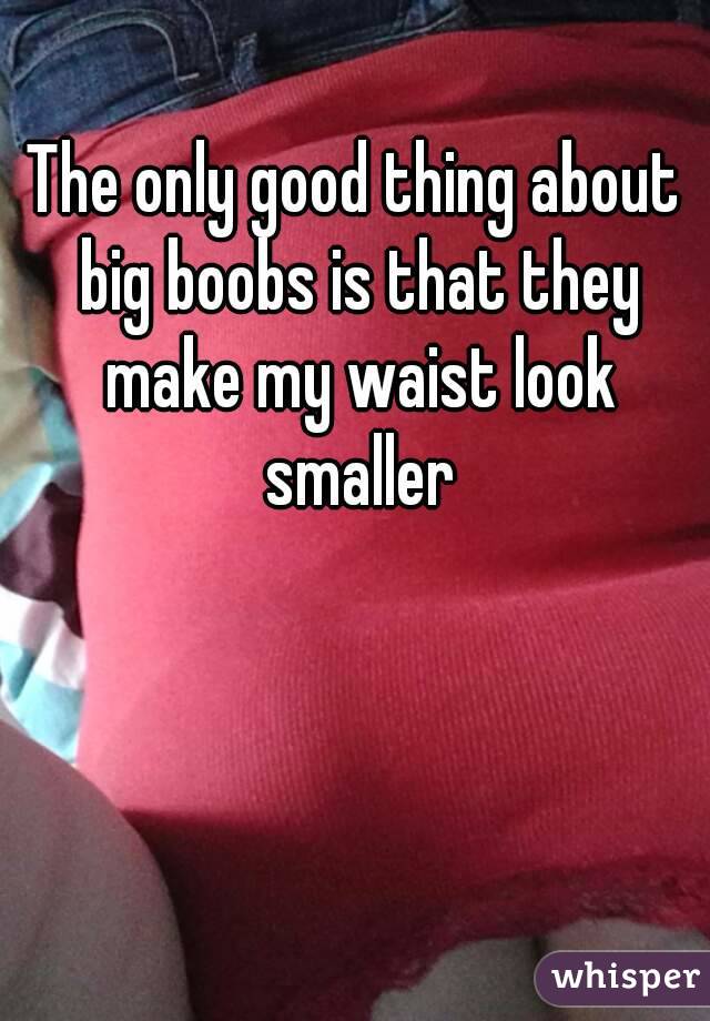 The only good thing about big boobs is that they make my waist look smaller