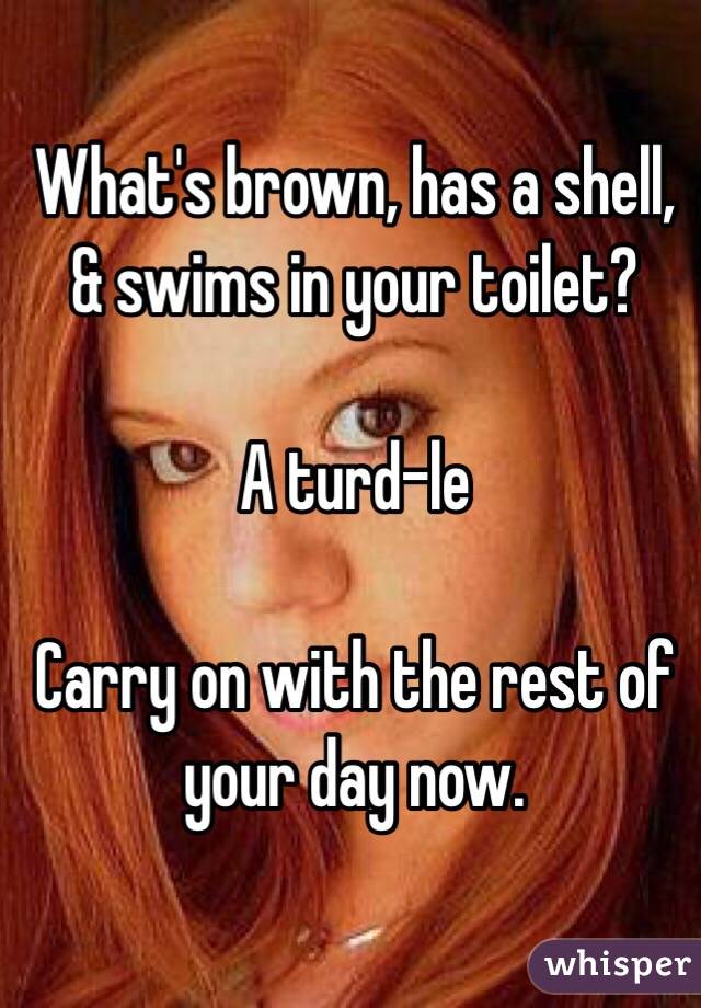 What's brown, has a shell, & swims in your toilet?

A turd-le

Carry on with the rest of your day now.