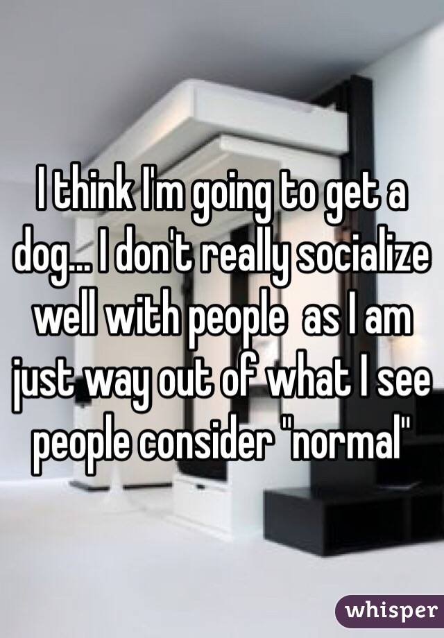 I think I'm going to get a dog... I don't really socialize well with people  as I am just way out of what I see people consider "normal"