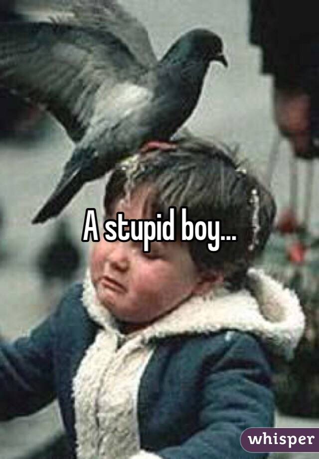 A stupid boy...