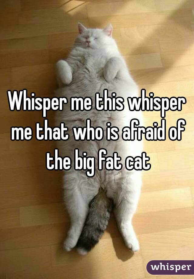 Whisper me this whisper me that who is afraid of the big fat cat