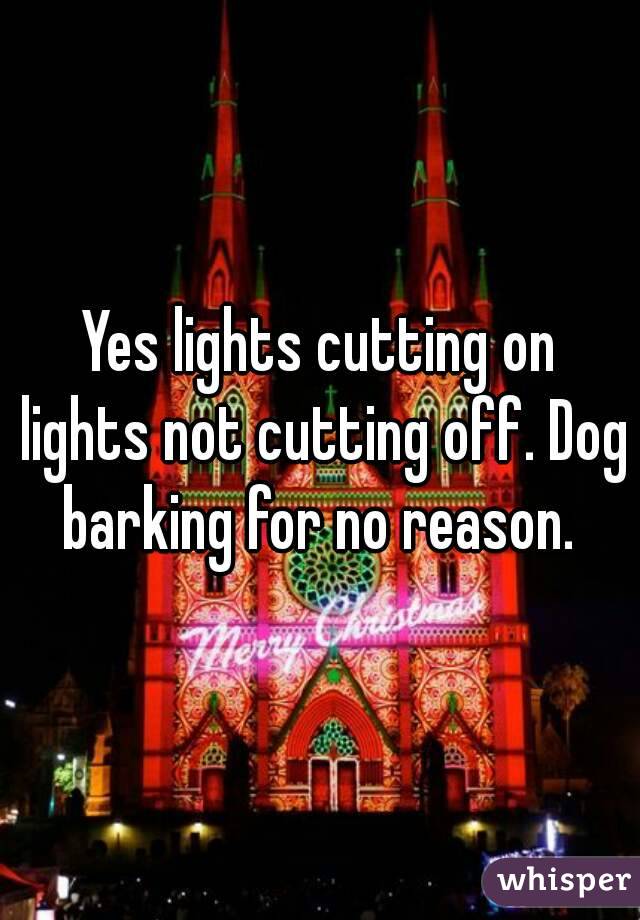 Yes lights cutting on lights not cutting off. Dog barking for no reason. 