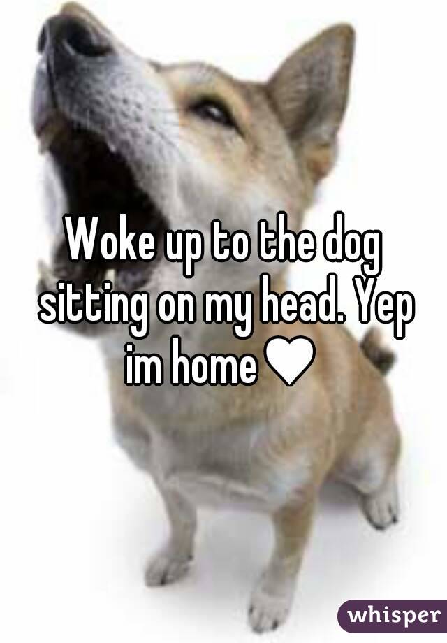Woke up to the dog sitting on my head. Yep im home♥ 