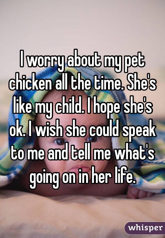 I worry about my pet chicken all the time. She's like my child. I hope she's ok. I wish she could speak to me and tell me what's going on in her life. 