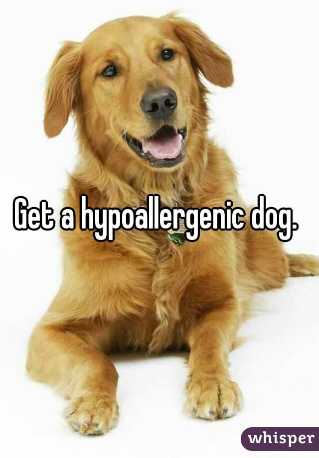 Get a hypoallergenic dog. 