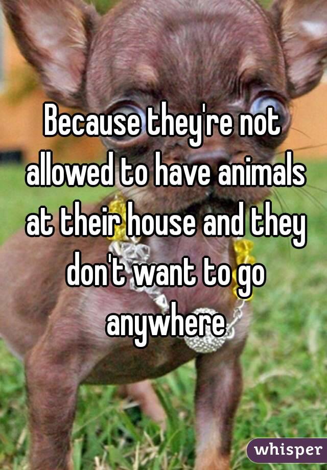 Because they're not allowed to have animals at their house and they don't want to go anywhere