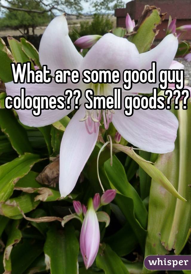 What are some good guy colognes?? Smell goods??? 