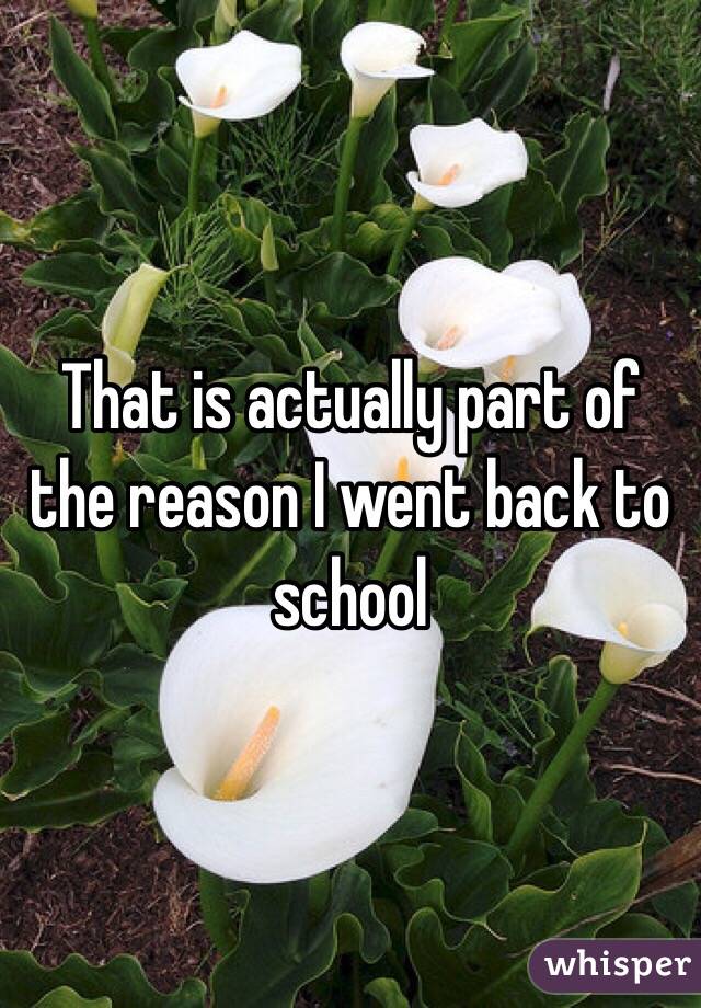 That is actually part of the reason I went back to school