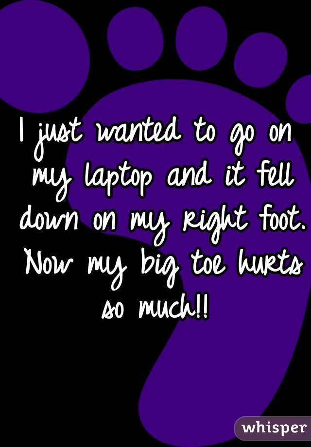 I just wanted to go on my laptop and it fell down on my right foot. Now my big toe hurts so much!! 