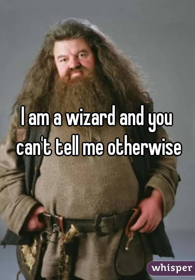 I am a wizard and you can't tell me otherwise