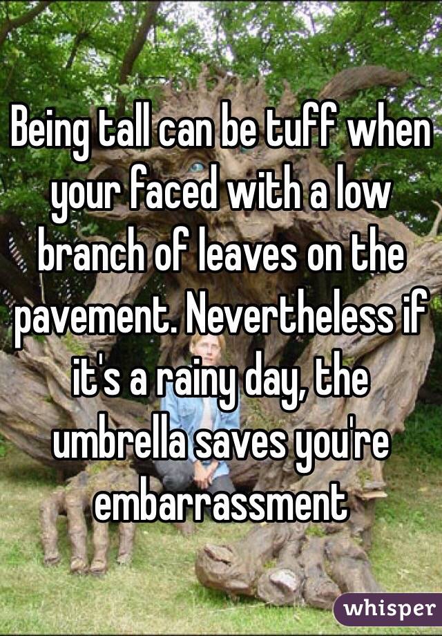 Being tall can be tuff when your faced with a low branch of leaves on the pavement. Nevertheless if it's a rainy day, the umbrella saves you're embarrassment 