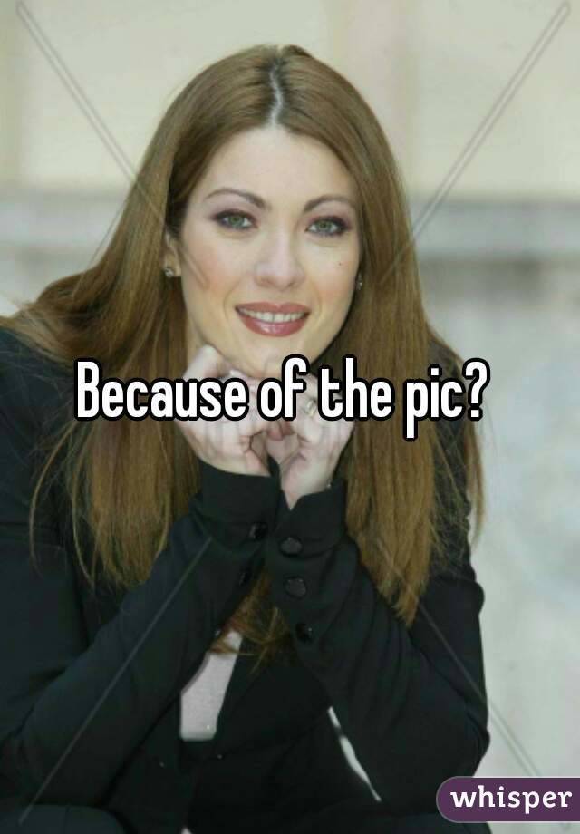 Because of the pic? 