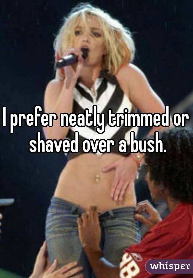 I prefer neatly trimmed or shaved over a bush.