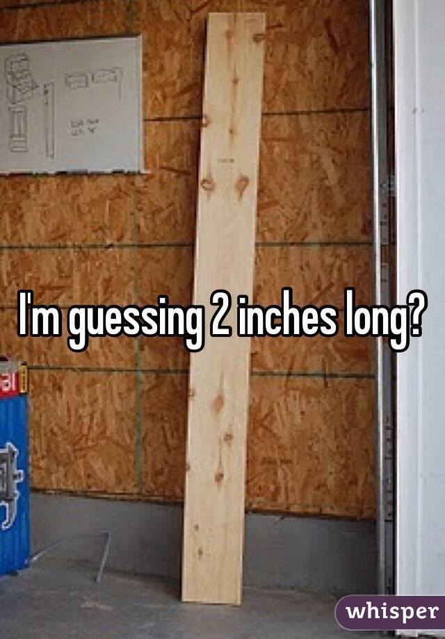 I'm guessing 2 inches long?