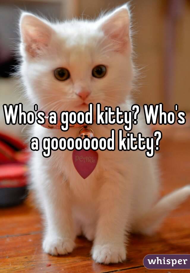 Who's a good kitty? Who's a goooooood kitty?
