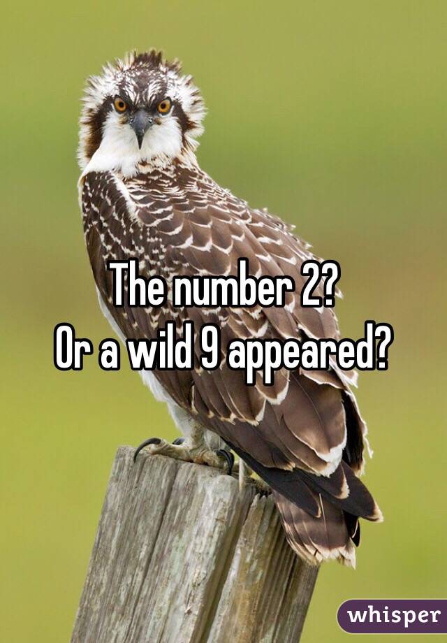 The number 2?
Or a wild 9 appeared?